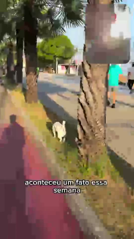 Procedimento estético é seguro? O que perguntar antes de fazer